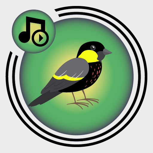 Birds ringtones, birds sound icon