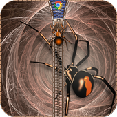 Spider Zipper Lock icon