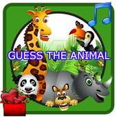 Guess the animal