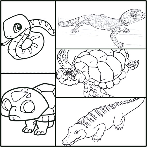 How To Draw Animal Reptiles icon