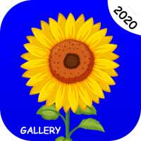 Gallery - Photo and Video Player