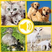 Baby Animal Sound icon