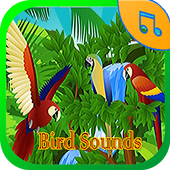 Bird Sounds Ringtone icon