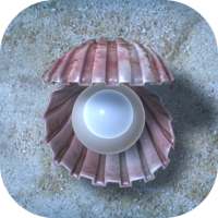 Sea Shell Game