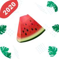 Melon Proxy VPN – Free & Secure Master VPN 2021