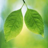 Eureka Adv Menu Launcher icon