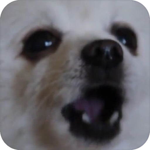 Gabe The Dog icon