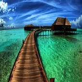 Beach Home Live Wallpaper icon
