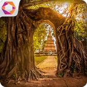 Escape Puzzle: Temple Escape