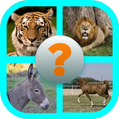 Guess The Picture - Animals icon