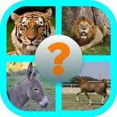 Guess The Picture - Animals