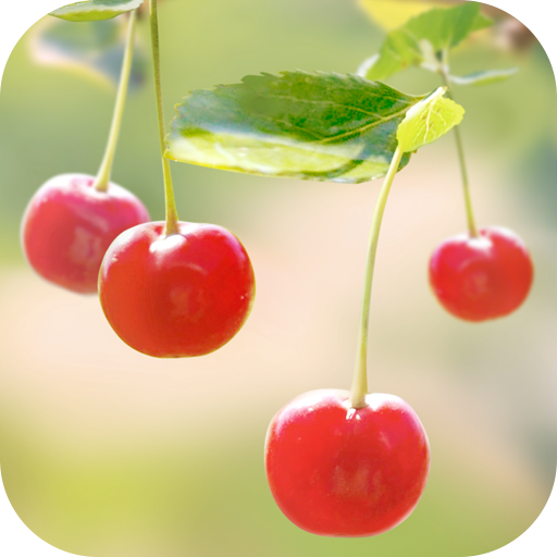 Sweet Cherry Live Wallpaper icon
