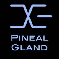 BrainwaveX Pineal Gland on 9Apps