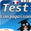 Game french conjugation: learn french conjugation icon