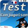 Game french conjugation: learn french conjugation