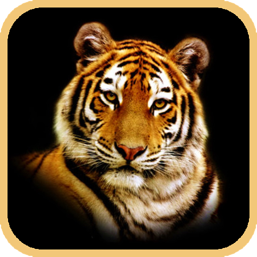 Kids ZOO,Animal sounds KidsZoo icon