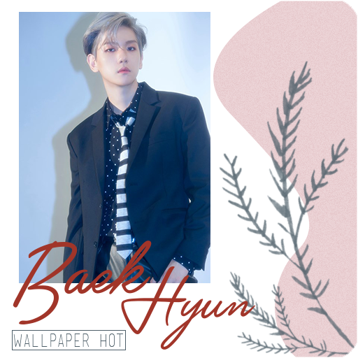 Baek Hyun Wallpaper Hot icon