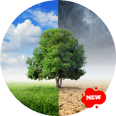 Weather in Amritsar icon