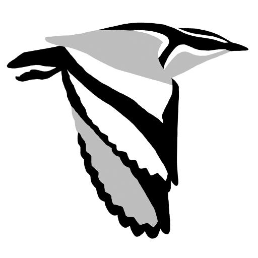 Birds of Africa icon