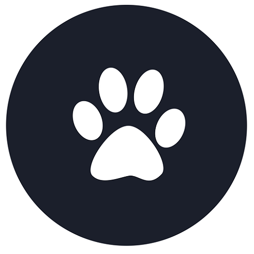 Cat Video icon