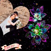 Love Romantic Photo Frames GIF icon