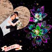 Love Romantic Photo Frames GIF