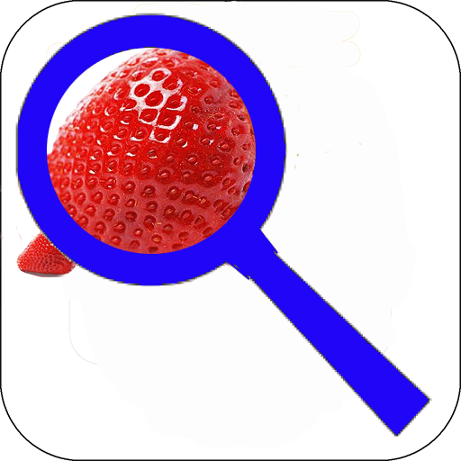 Best magnifier with light icon