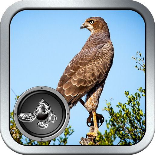 Singing of Wild Birds icon