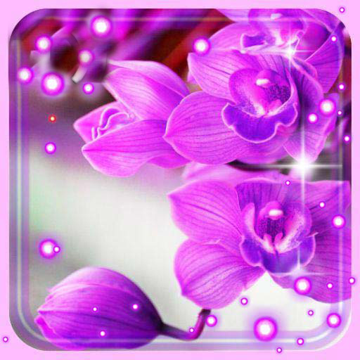 Orchids Photo icon