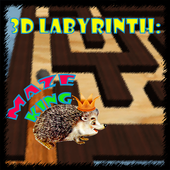 3D Labyrinth: Maze King icon