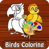 Birds Coloring