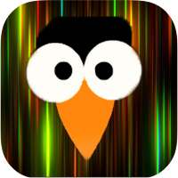 New Funny Wallpaper Live Hd