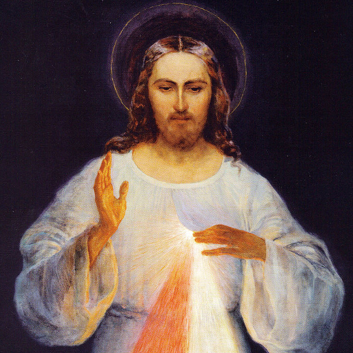 Jesus, I trust in You icon