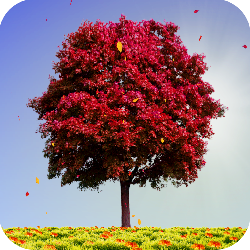 Autumn Trees Live Wallpaper icon