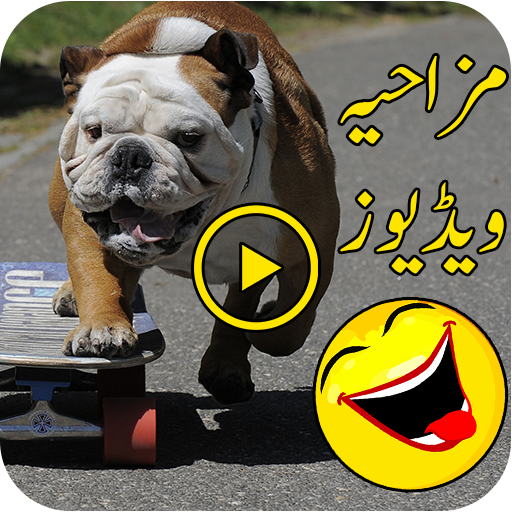 Funny Videos icon