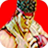 Guide for Street Fighting II