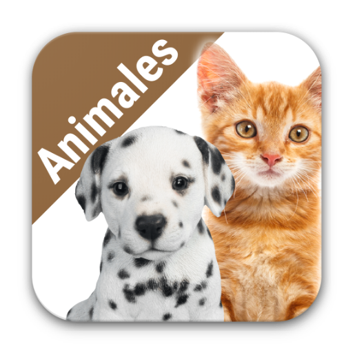 El reino animales para niños icon