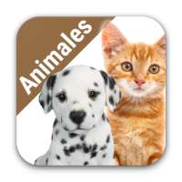 El reino animales para niños