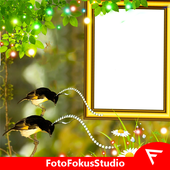 King of Saxony Bird of Paradise Insta DP icon