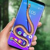 Snake on Screen Live Wallpaper & Launcher Prank