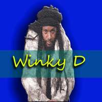 W-i-n-k-y D songs  ofline on 9Apps