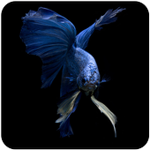 IOS live wallpaper icon