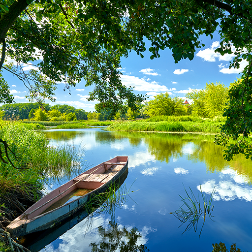 Background mobile application icon