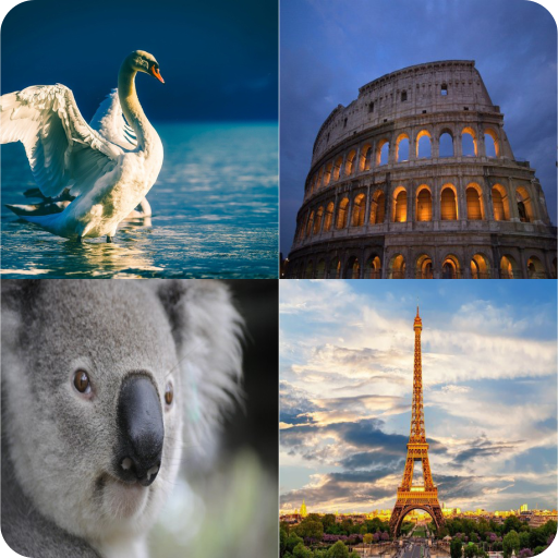 Guess who,where,what,when icon