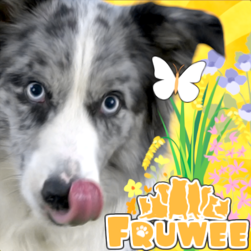 Real Pets™ by Fruwee icon