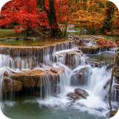 Nature Wallpapers on 9Apps