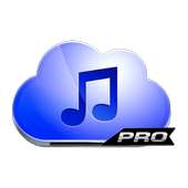 Music-Paradise Download Pro