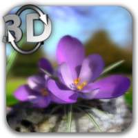 Nature Live ❁ Spring Flowers 3D