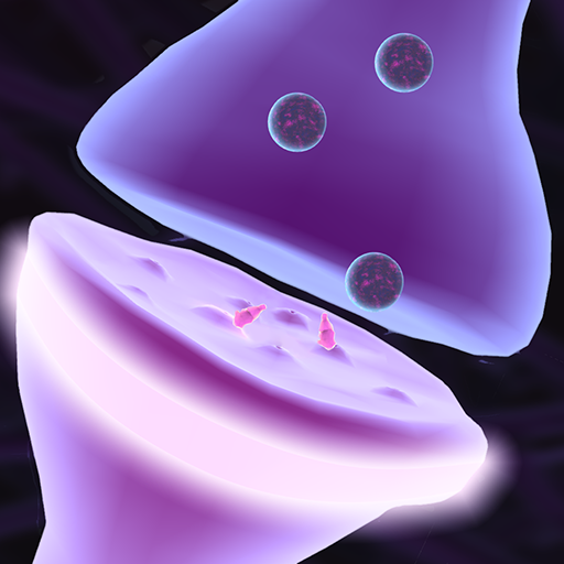 ikon IC: Synaptic Transmission