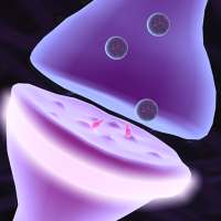 IC: Synaptic Transmission on 9Apps